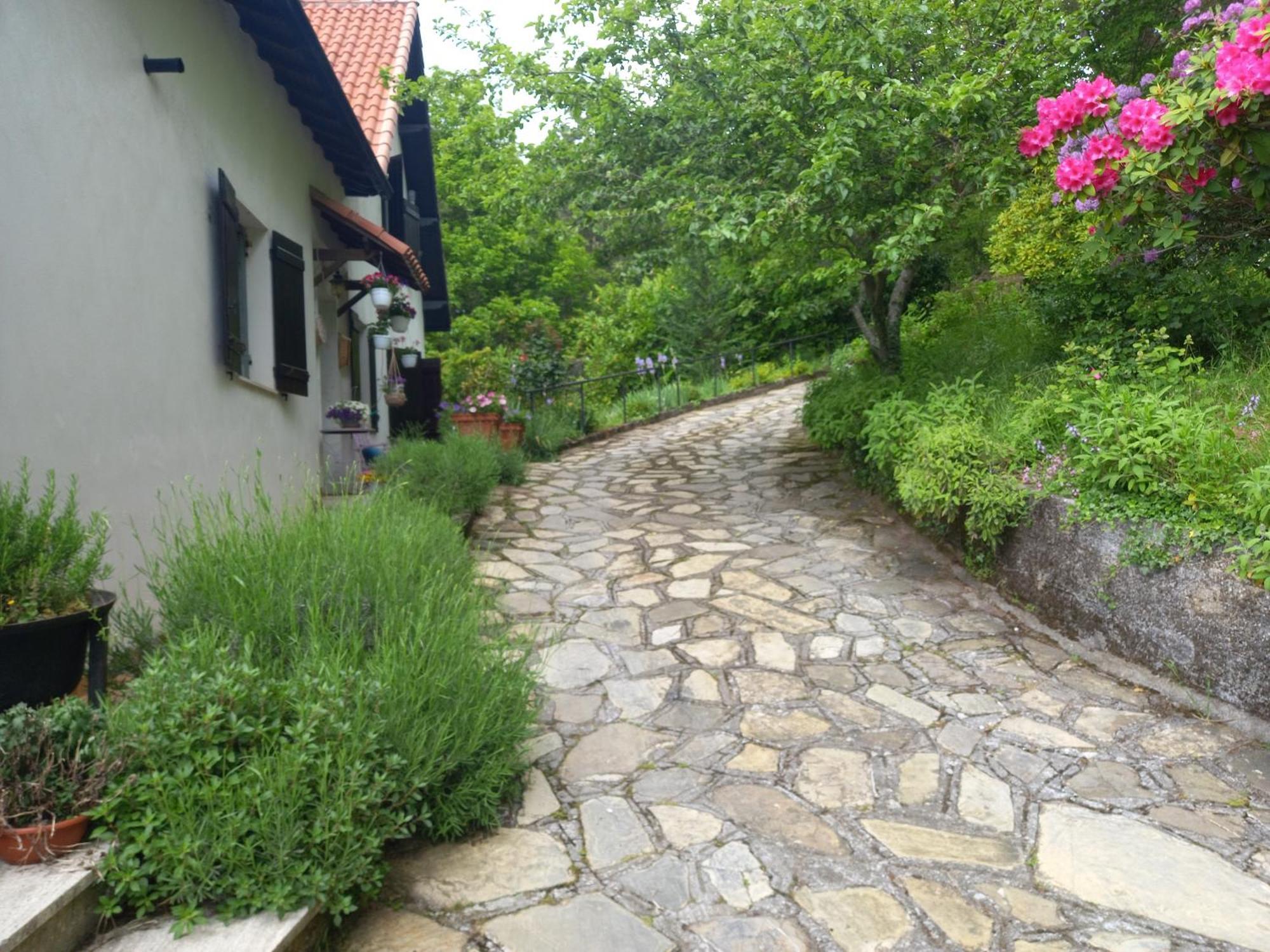 B&B Le Camelie Del Bosco Baiardo 外观 照片