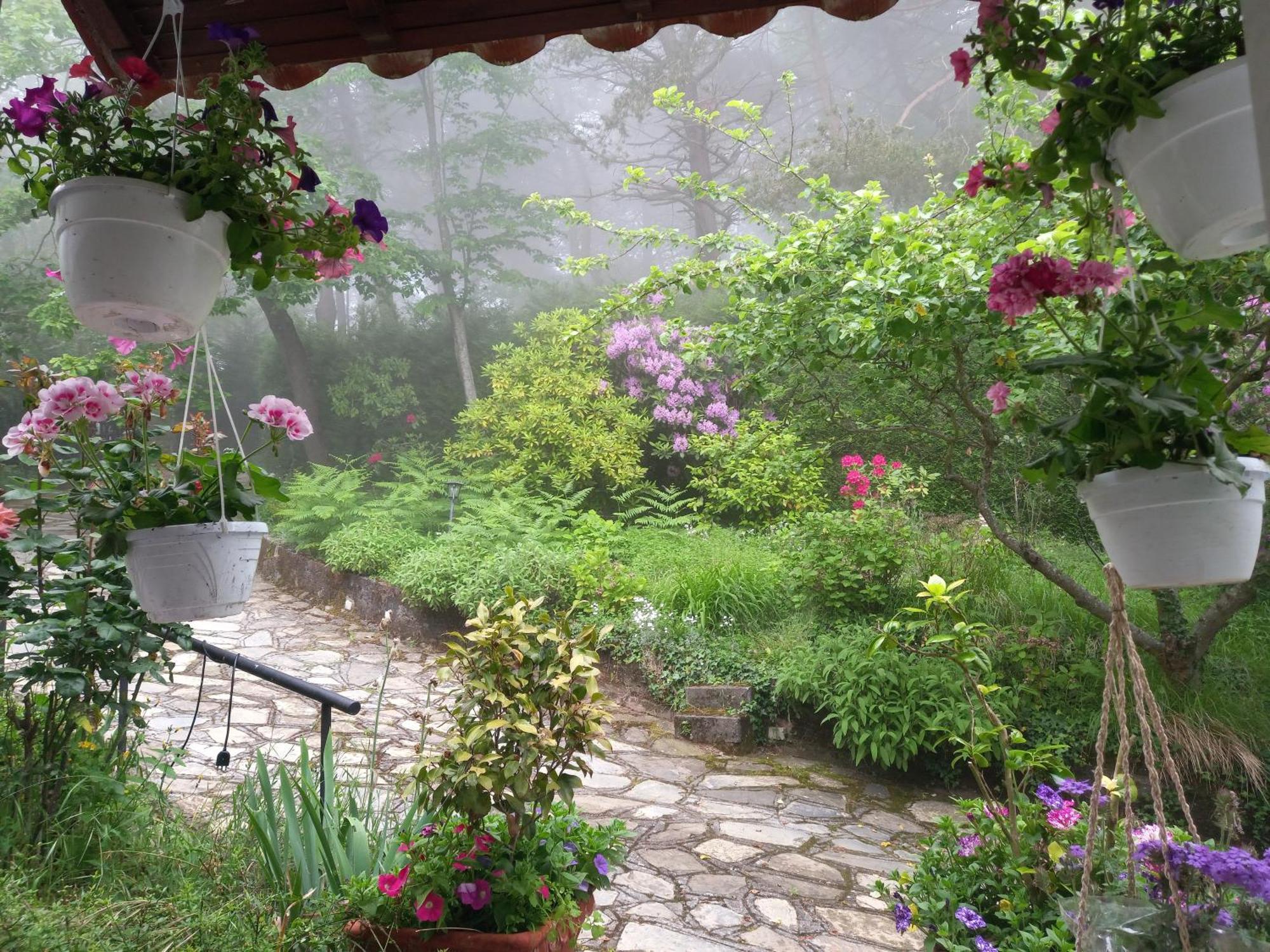 B&B Le Camelie Del Bosco Baiardo 外观 照片