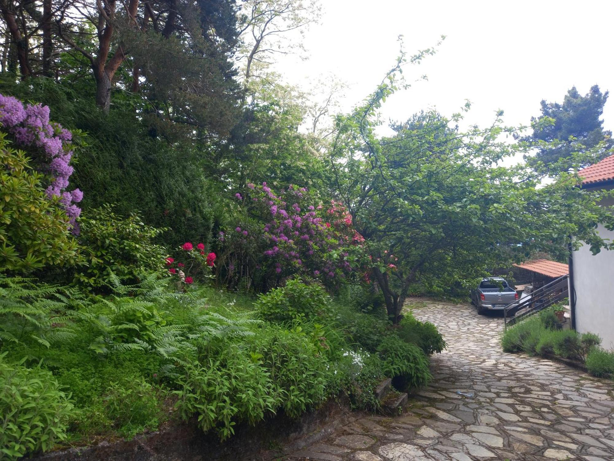 B&B Le Camelie Del Bosco Baiardo 外观 照片