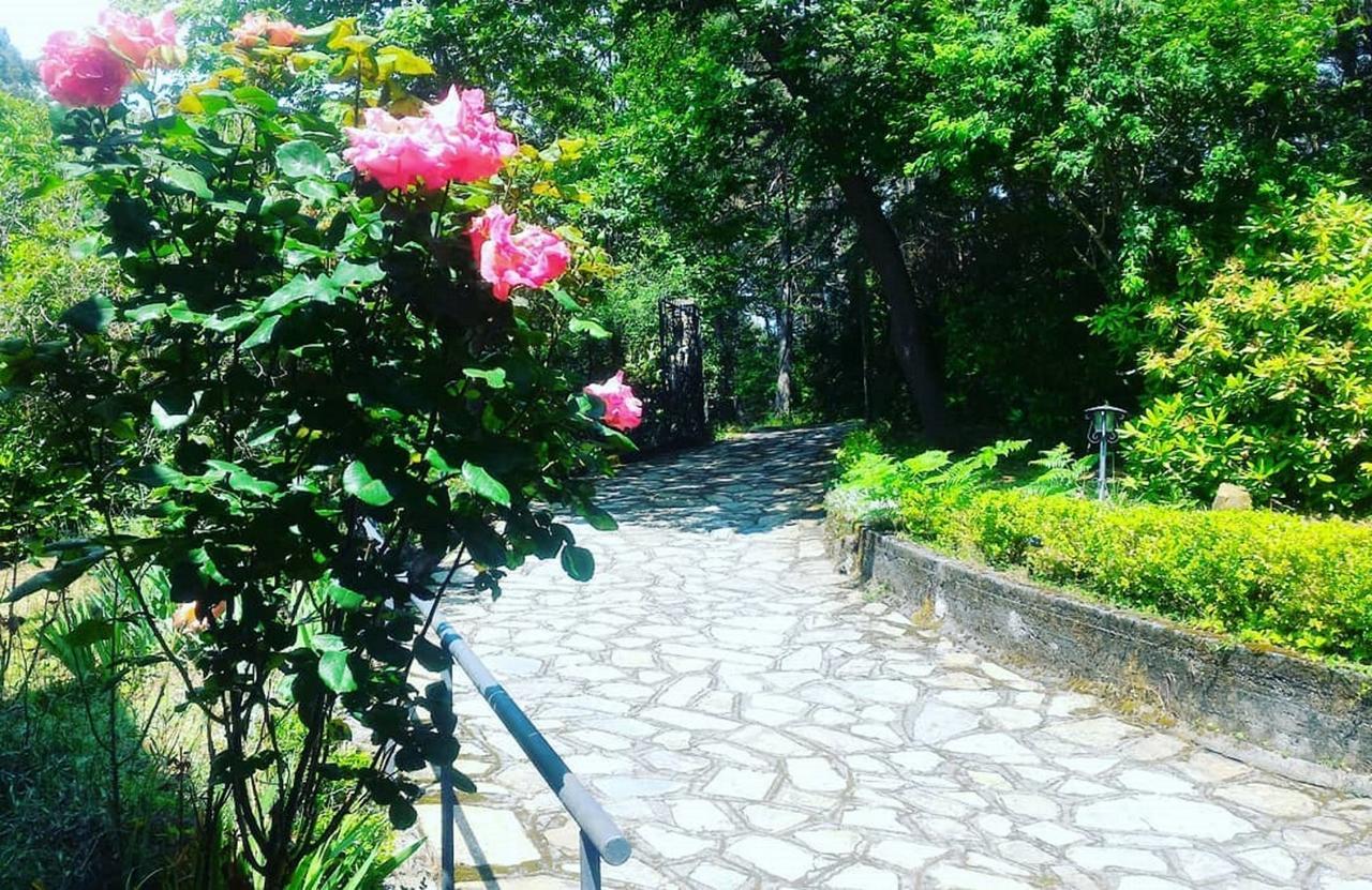 B&B Le Camelie Del Bosco Baiardo 外观 照片