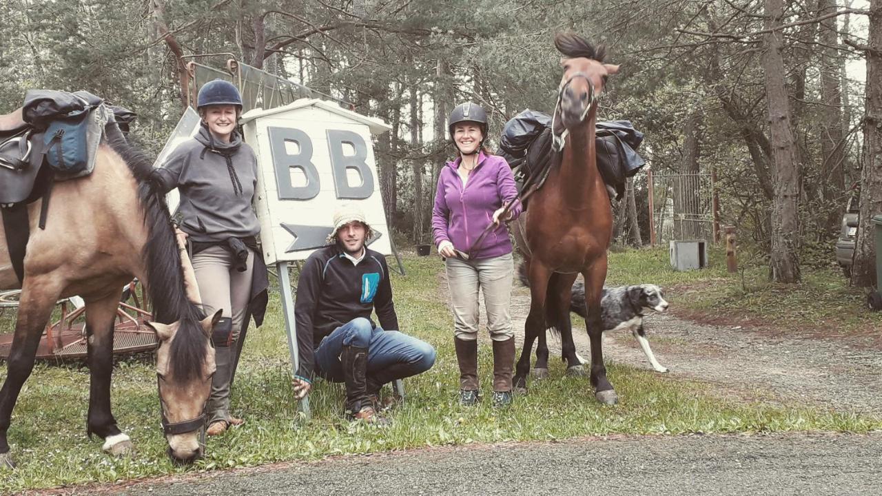 B&B Le Camelie Del Bosco Baiardo 外观 照片